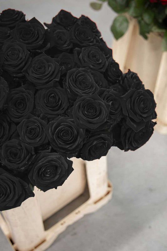 Bouquet of black roses
