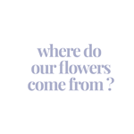 Text 'where do our flowers come from?' on a white background